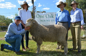 Alistair and Natasha Wells holding the top priced ram sold for $6500 to Dick and Caroline Gavel of "Gulgo", Condobolin.