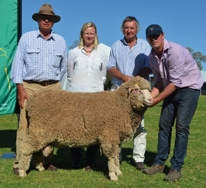 Top price ram at One Oak Poll 2014 on property auction