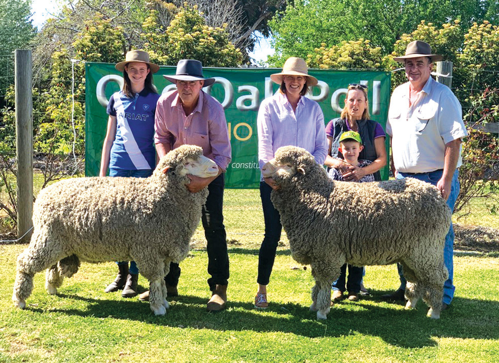 Two of the three top priced rams sold for $6000. Pictured Amelia, Alistair and Natasha Wells, with Helen and Mark Hoskinson and their grandson, Aiden.