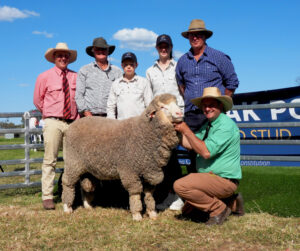 Record price $28,000 for Red-31 the top price ram at 2021 on-property sale.