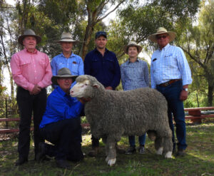 Top price ram at 2022 auction, sold for $28K to the Bull family, Deniliquin