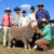R19137 (by Red-31)with Nick Gray, Elders Jerilderie;Rodger Mattews, Borambil Merini Stud, Lachlan, Amelia, and Alistair Wells with Rick Power from Nutrien